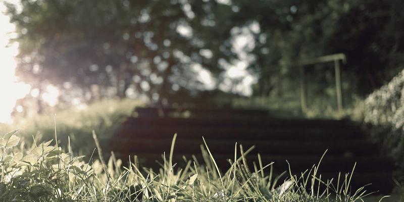 专精特新‘小巨人’企业培育政策深度解读与资本路径规划：一份给企业家的实战指南