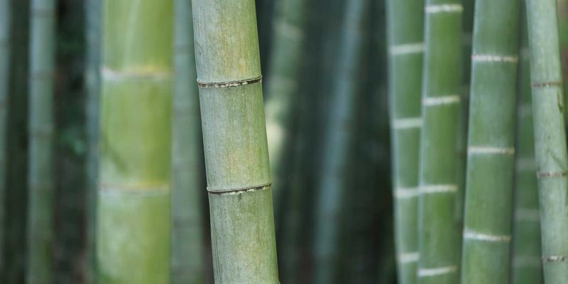 乡村振兴中的商业机遇：农产品品牌化与农村电商模式升级的创业指南