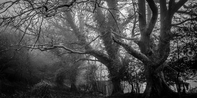 企业家服务与创业指导新标杆：华商网365如何赋能商业精英