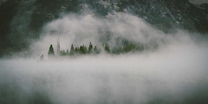 华商网365：以深度市场分析与精准企业家服务赋能商业决策