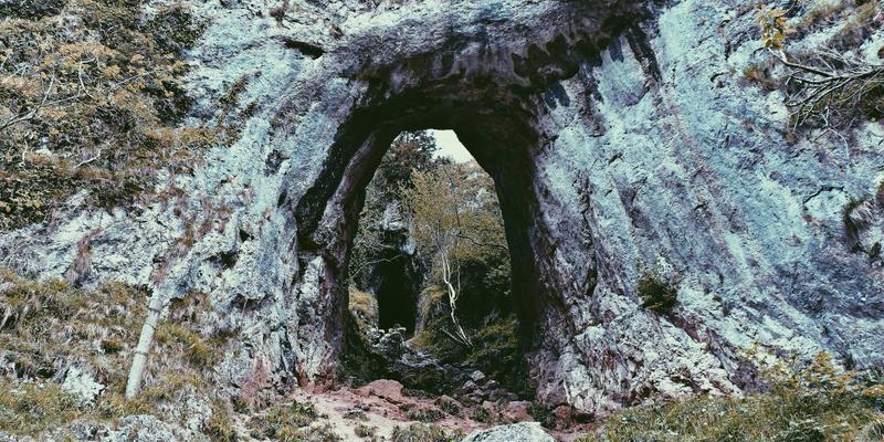 华商网365：企业家服务的数字化新生态与创业实战指导