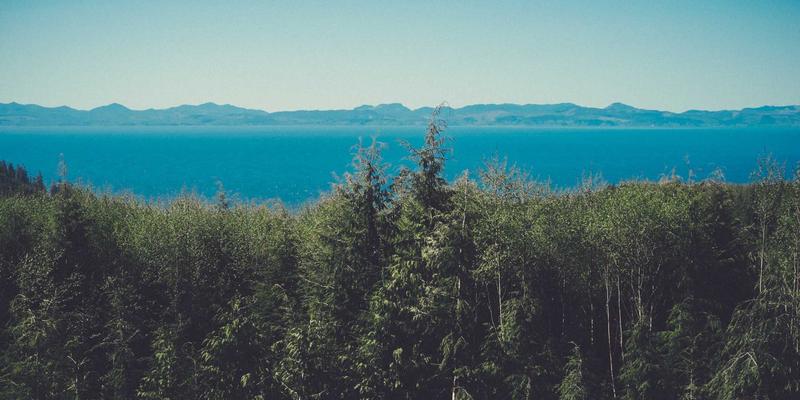 华商网365：深度解析企业家服务与市场分析新趋势