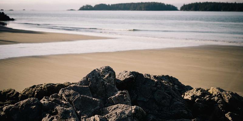 华商网365:聚焦商业新闻与创业指导,赋能新时代商业决策