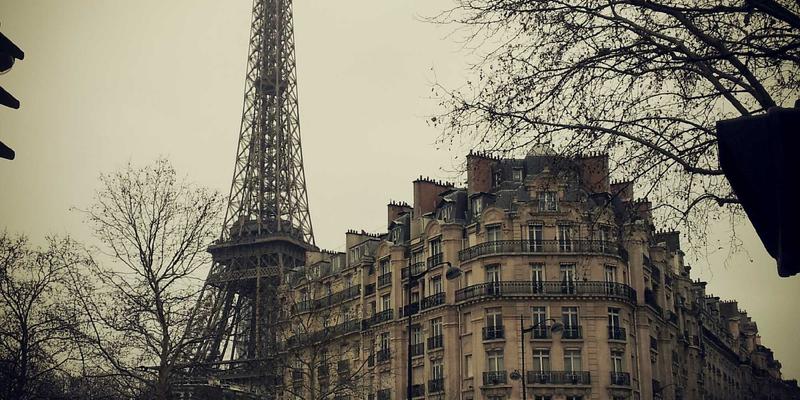 华商网365视角：创业指导与市场分析如何重塑商业资讯新趋势