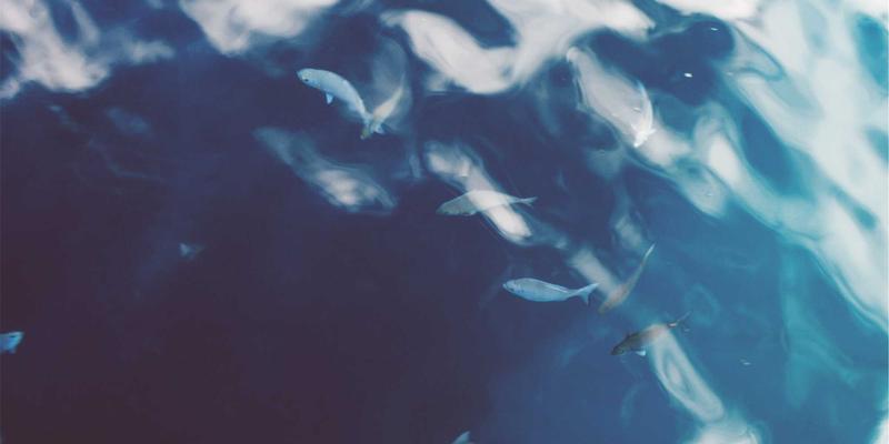 商业资讯42：解码企业家服务新趋势与市场分析关键点