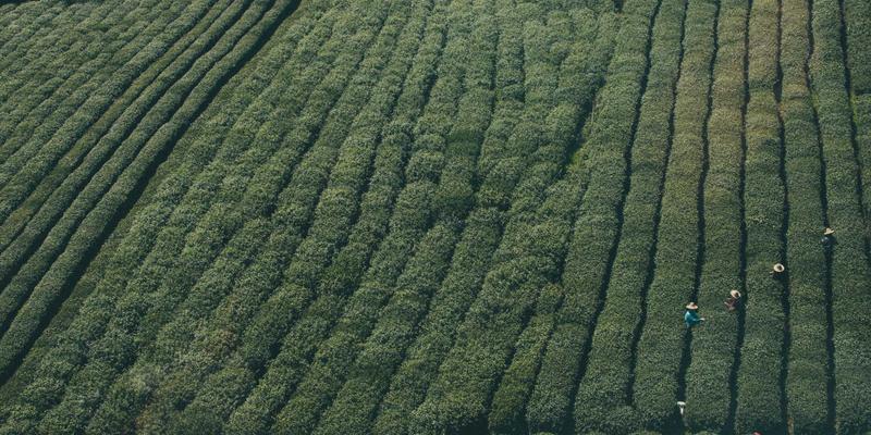 商业资讯60:解读华商网365的商业新闻与创业指导价值