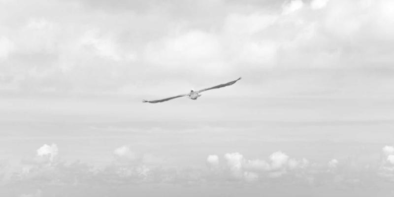 商业资讯86：洞悉市场脉动，华商网365引领企业决策新风向