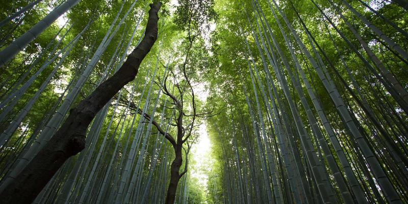 商业资讯的价值:如何通过商业新闻与企业家服务驱动企业决策