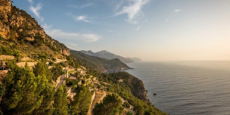 商业资讯赋能决策:企业家服务与市场分析的双轮驱动