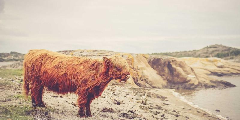 市场分析与企业家服务双轮驱动：华商网365如何赋能新时代商业决策