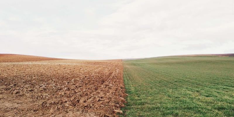 市场分析与企业家服务双轮驱动：华商网365如何赋能新时代商业决策