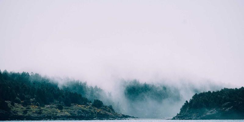 数字化转型浪潮下，企业家如何重塑组织架构与人才战略？