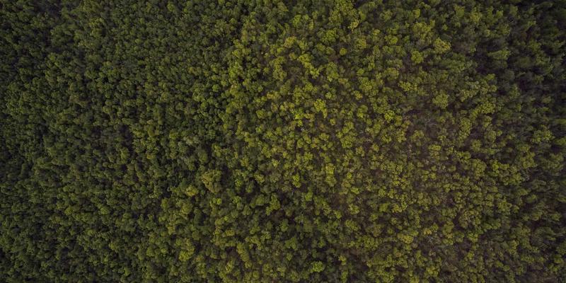 数据要素市场化配置：重塑企业决策模式，赋能商业新闻与创业指导新生态