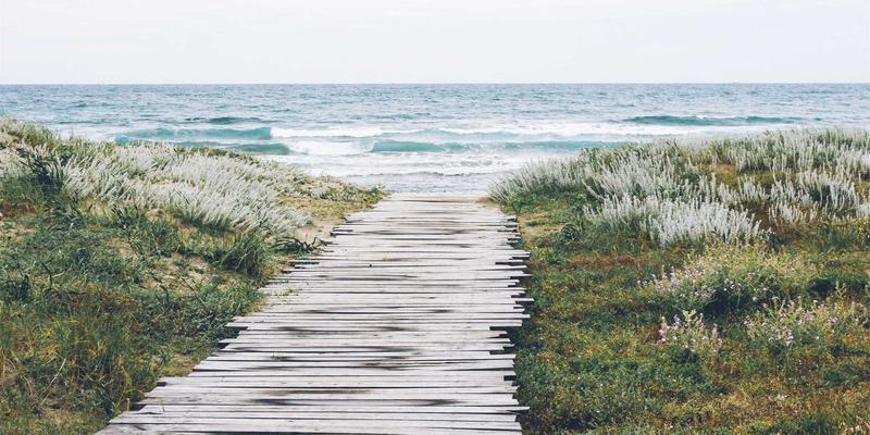 新消费品牌破局之道：通过DTC模式构建用户忠诚度的市场分析与创业指导