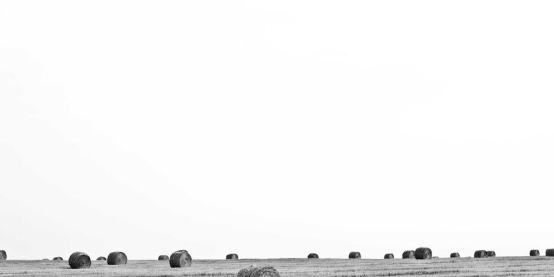 消费降级趋势中的新商机：华商网365市场分析揭示平价替代与性价比品牌打造策略