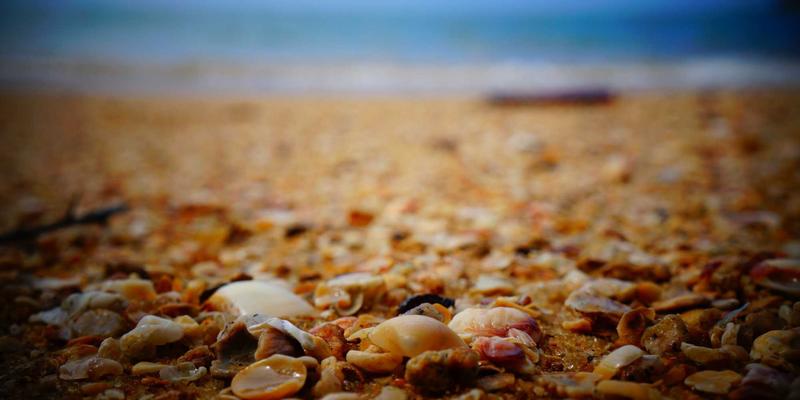 零工经济平台的管理革命：构建弹性组织与保障新型劳动关系的战略指南